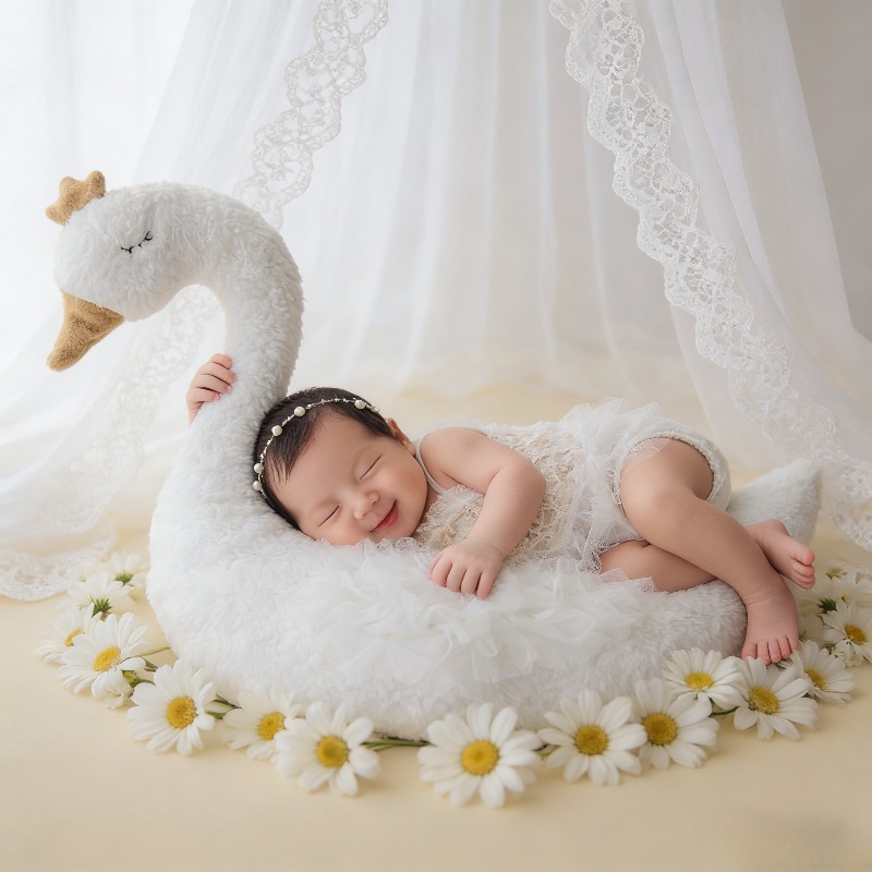 طقم ملابس دانتيل على شكل بجعة  - مراجعة Photography Day وسعره