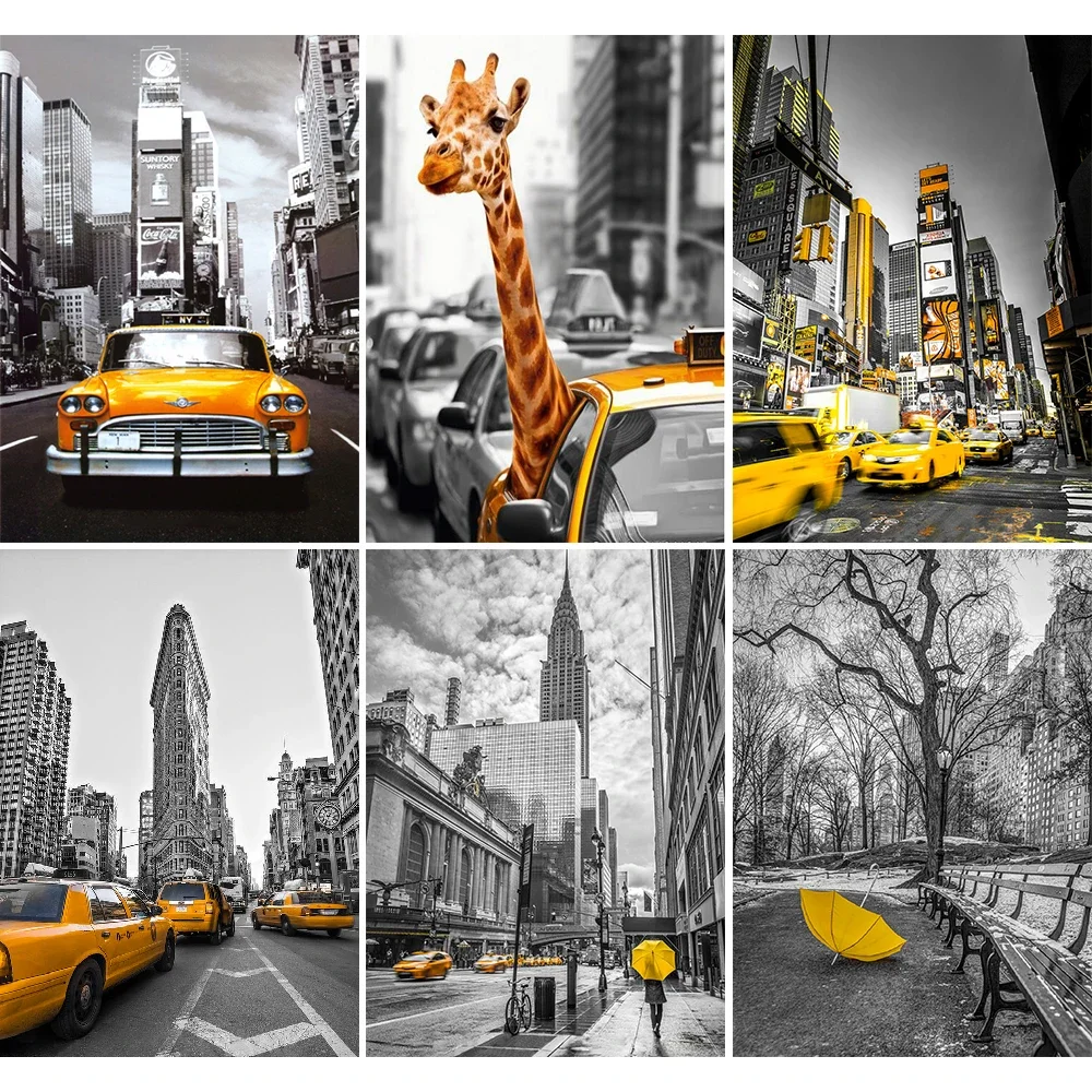 5D Diy بها بنفسك الماس التطريز - مراجعة Photography New York وسعره